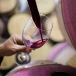 Curso de cata de vinos en Entre Ríos